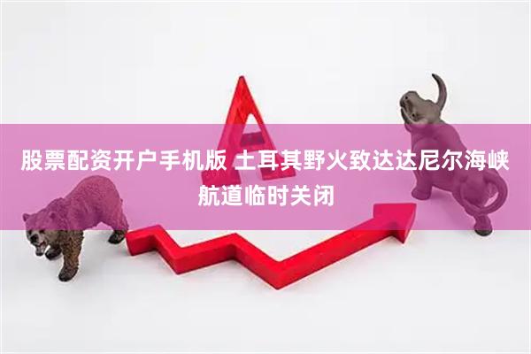 股票配资开户手机版 土耳其野火致达达尼尔海峡航道临时关闭