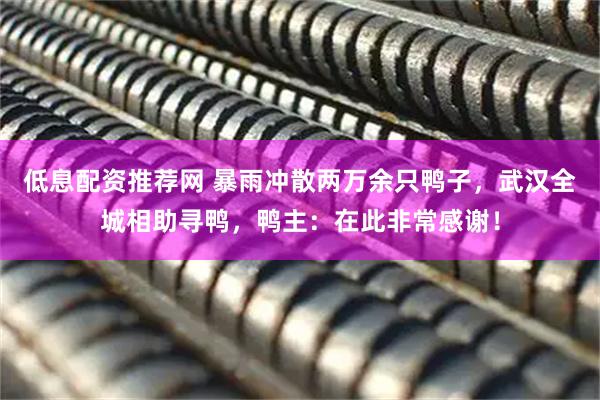 低息配资推荐网 暴雨冲散两万余只鸭子，武汉全城相助寻鸭，鸭主：在此非常感谢！