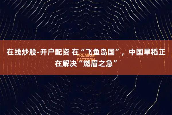 在线炒股-开户配资 在“飞鱼岛国”，中国旱稻正在解决“燃眉之急”